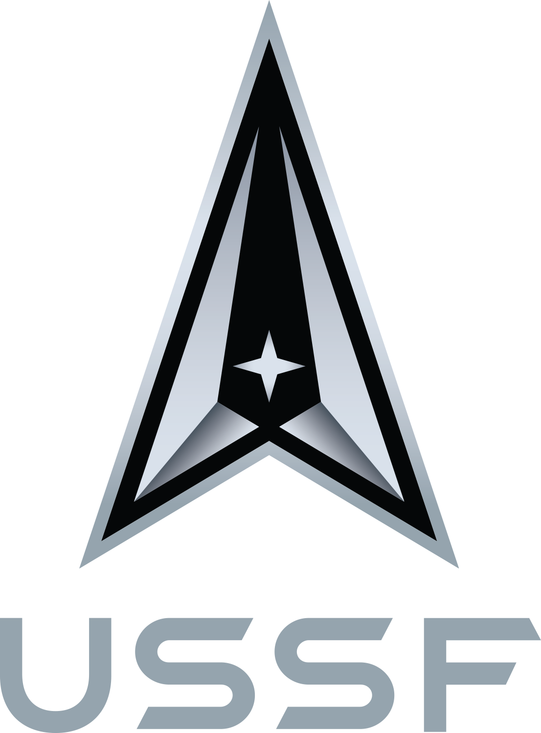 United States Space Force Logo